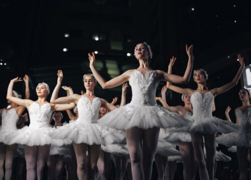 performance of black swan