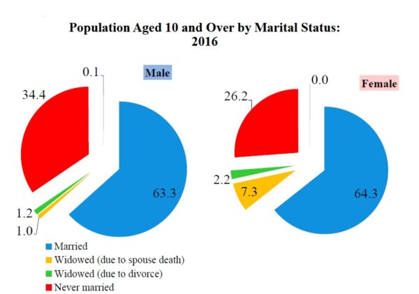 pie charts showing marital status of iran