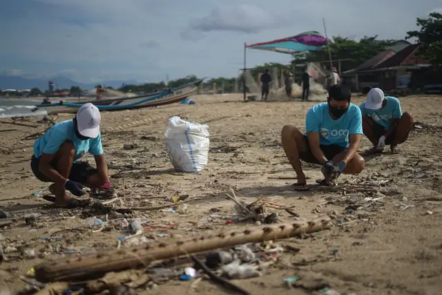 people collecting garbage from a beach