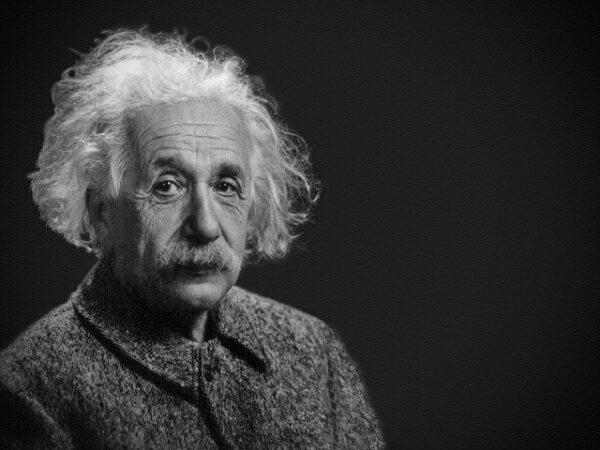 albert einstein portrait